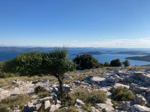 Widok na Park Narodowy Kornati - żeglarska perła Chorwacji | Charter.pl foto: Katarzyna Kowalska