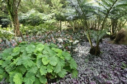 Ogród botaniczny Jardin de Balata foto: Piotr Kowalski