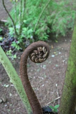 Ogród botaniczny Jardin de Balata foto: Piotr Kowalski