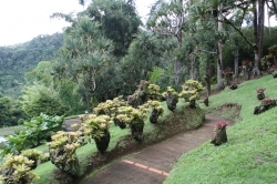 Ogród botaniczny Jardin de Balata foto: Piotr Kowalski