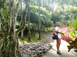 Ogród botaniczny Jardin Balata foto: Kasia Koj