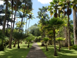 Ogród botaniczny Jardin Balata na Martynice z roku na rok wygląda coraz piękniej - zdjęcia 2018 foto: Ela