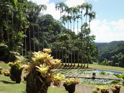 Ogród botaniczny Jardin Balata na Martynice z roku na rok wygląda coraz piękniej - zdjęcia 2018 foto: Ela