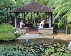 Ogród botaniczny Jardin Balata na Martynice z roku na rok wygląda coraz piękniej - zdjęcia 2018 foto: Ela