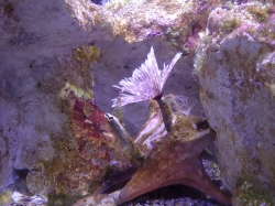 Aquarium of Guadeloupe foto: Katarzyna Kowalska