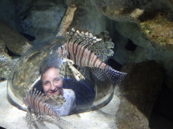 Oceanarium na Karaibach foto: Katarzyna Kowalska