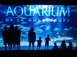 Oceanarium na Karaibach foto: Katarzyna Kowalska