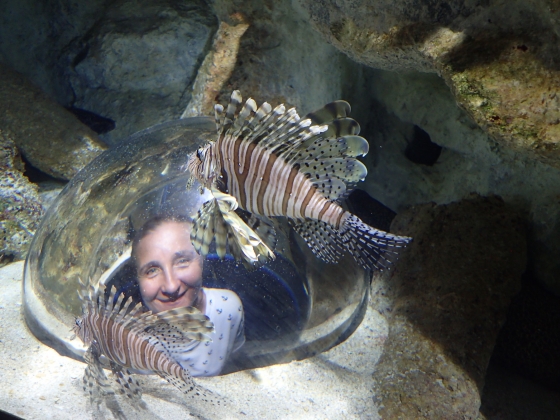 Aquarium de la Guadeloupe (Pointe a Pitre, Gwadelupa 2018)