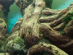 Projekt dżungla - dużo plastiku, choć pomysły jak przedstawić życie w wodzie całkiem ciekawe foto: Kasia Koj
