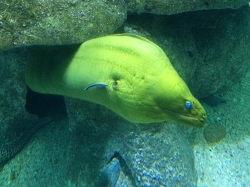 Rejs morski we Francji, zwiedzamy Oceanarium "Seaquarium" foto: Katarzyna Kowalska