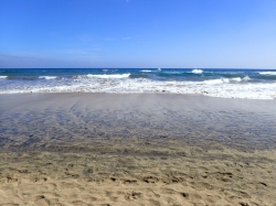 Dunas de Maspalomas często nazywana Saharą foto: Kasia Koj