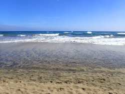 Dunas de Maspalomas często nazywana Saharą foto: Kasia Koj