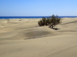 Wydmy w Maspalomas cud natury na Wyspach Kanaryjskich foto: Kasia Koj