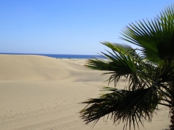 Wydmy w Maspalomas cud natury na Wyspach Kanaryjskich foto: Kasia Koj