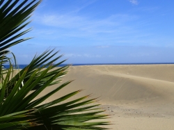 Wydmy w Maspalomas cud natury na Wyspach Kanaryjskich foto: Kasia Koj
