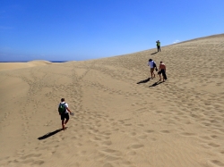 Wydmy, wydmy, wydmy...... wydmy w Maspalomas zajmują ogromny obszar ponad 400 ha foto: Kasia Koj