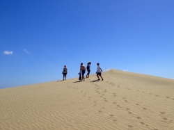 Wydmy w Maspalomas rozciągają się wzdłuż oceanu na długości 6 km foto: Kasia Koj