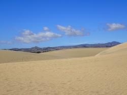 Wydmy w Maspalomas rozciągają się wzdłuż oceanu na długości 6 km foto: Kasia Koj