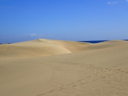 Wydmy w Maspalomas rozciągają się wzdłuż oceanu na długości 6 km foto: Kasia Koj