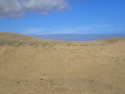 Wydmy w Maspalomas rozciągają się wzdłuż oceanu na długości 6 km foto: Kasia Koj