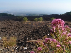 Wulkan Etna zdobyty, wracamy | Charter.pl foto: Kasia Koj