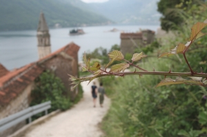 Perast od 1979 r. wpisany na listę światowego dziedzictwa UNESCO | Charter.pl foto: Piotr Kowalski