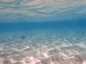 Biało-różowy piasek, błękitna woda, tak musi wyglądać raj | Charter.pl foto: Kasia Kowalska
