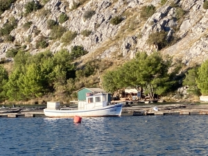 Rzeka Krka - jedna z najpiękniejszych dróg wodnych Chorwacji | Charter.pl foto: Katarzyna Kowalska