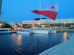 Ibiza - marina foto: Marcin Krukierek 