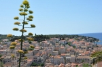 Hvar