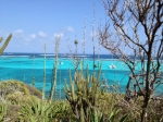 Tobago Cays foto: Marcin Krukierek