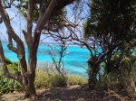 Tobago Cays foto: Marcin Krukierek