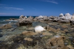 Korsyka - Calvi, wybrzeże foto: Piotr Szczepański