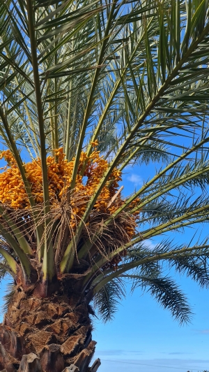 Listopadowy rejs po Wyspach Kanaryjskich | Charter.pl foto: Agnieszka Papierniok