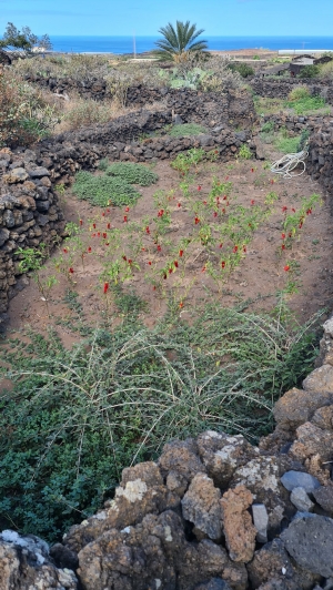 Listopadowy rejs po Wyspach Kanaryjskich | Charter.pl foto: Agnieszka Papierniok