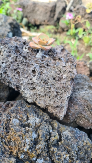 Listopadowy rejs po Wyspach Kanaryjskich | Charter.pl foto: Agnieszka Papierniok