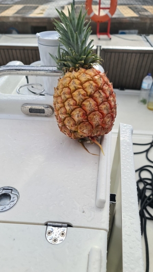 Kobieca przygoda na Atlantyku | Charter.pl foto: Agnieszka Papierniok