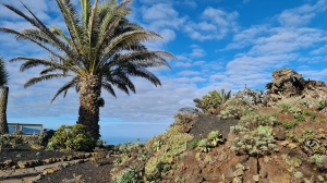 Kanary od środka: surowo, pięknie i w pełnej ciszy | Charter.pl foto: Agnieszka Papierniok