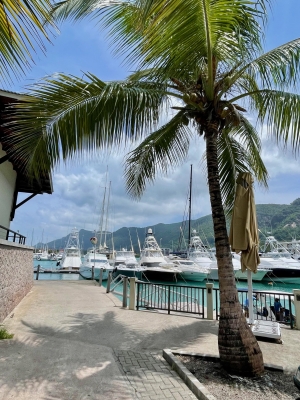 Eden Island Marina, Seszele | Mahe foto: Katarzyna Kowalska