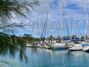 Marina Raiatea, Uturoa, Polinezja Francuska | Charter.pl foto: Katarzyna Kowalska