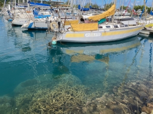 Marina Raiatea, Uturoa, Polinezja Francuska | Charter.pl foto: Katarzyna Kowalska