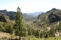 Jeden z wielu "miradorów". Gran Canaria jest na prawdę piękna! foto: Piotr Kowalski