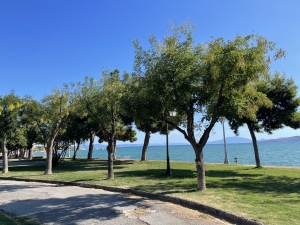 Volos to tętniące życiem nadmorskie miasto położone nad Zatoką Pagasyjską, u stóp góry Pelion | Charter.pl foto: Katarzyna Kowalska