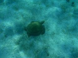 Tobago Cays foto: Kasia & Peter