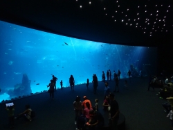 Aquarium "Poema del Mar" foto: Katarzyna Kowalska