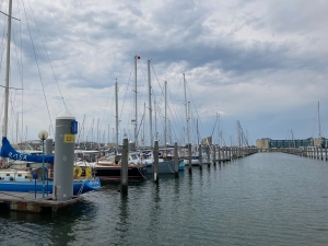 Miejsca w marinie Ijmujden są numerowane, Między palami na pływających pomostach | Charter.pl foto: Kasia Kowalska