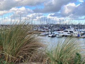 Kilka widoczków na marinę Ijmujdem | Charter.pl foto: Kasia Kowalska