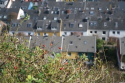 Wyspa Helgoland jest mała, ale jakże ciekawa foto: Katarzyna Kowalska