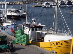 Port Vestero Havn na wyspie Laeso | Charter.pl foto: Kasia Koj