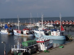 Port Vestero Havn na wyspie Laeso | Charter.pl foto: Kasia Koj